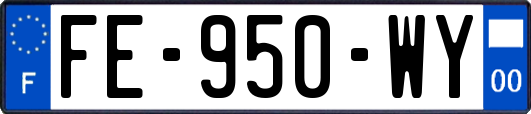 FE-950-WY