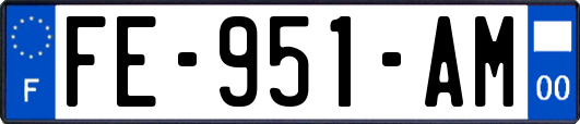 FE-951-AM