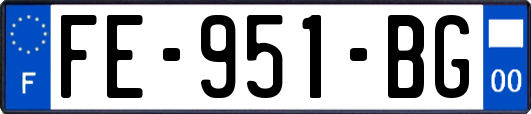 FE-951-BG