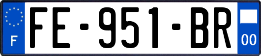 FE-951-BR