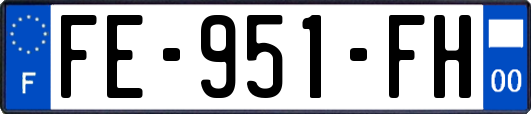 FE-951-FH