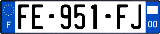 FE-951-FJ