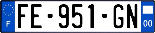 FE-951-GN