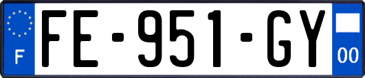 FE-951-GY