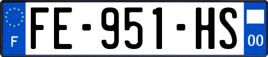 FE-951-HS