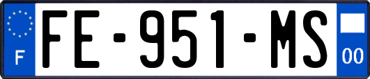 FE-951-MS
