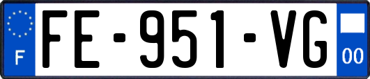 FE-951-VG