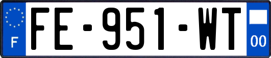 FE-951-WT