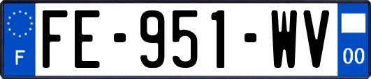 FE-951-WV