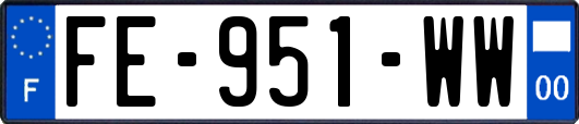 FE-951-WW