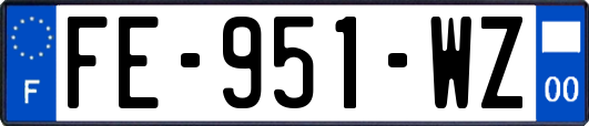 FE-951-WZ