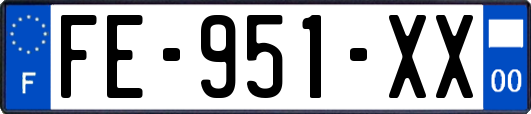 FE-951-XX