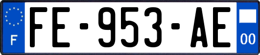 FE-953-AE