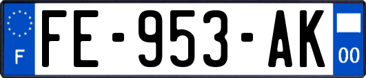 FE-953-AK