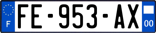 FE-953-AX