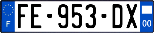 FE-953-DX