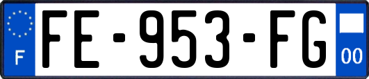 FE-953-FG