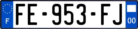 FE-953-FJ