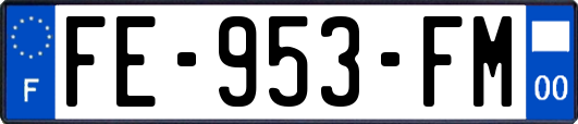 FE-953-FM