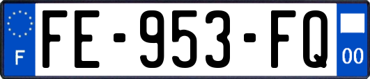 FE-953-FQ