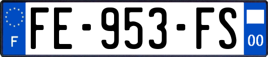 FE-953-FS