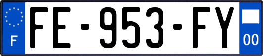 FE-953-FY