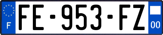 FE-953-FZ