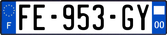 FE-953-GY