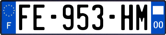 FE-953-HM