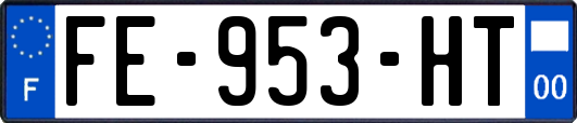 FE-953-HT
