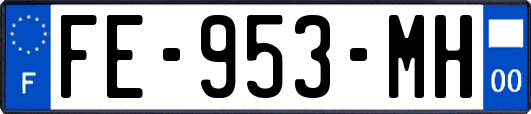 FE-953-MH