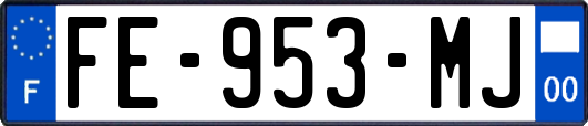 FE-953-MJ