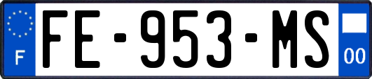 FE-953-MS