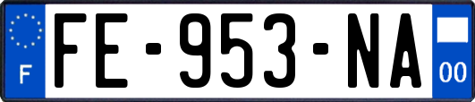 FE-953-NA