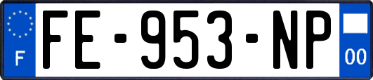 FE-953-NP