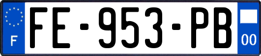 FE-953-PB