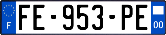 FE-953-PE