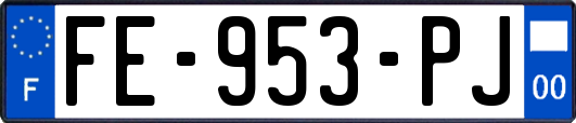 FE-953-PJ