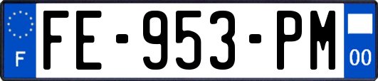 FE-953-PM
