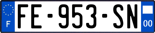 FE-953-SN