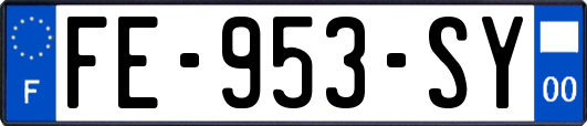 FE-953-SY