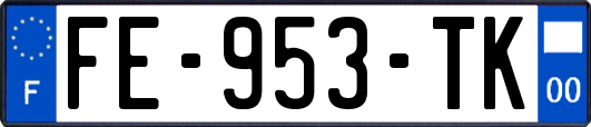 FE-953-TK