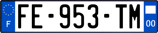 FE-953-TM