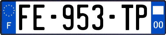 FE-953-TP