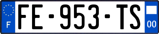 FE-953-TS