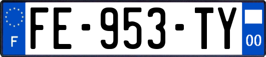 FE-953-TY