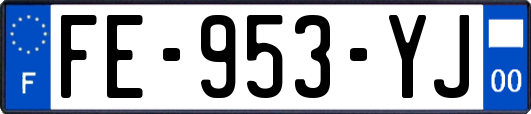 FE-953-YJ