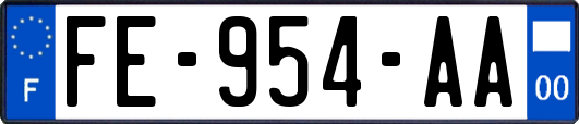 FE-954-AA