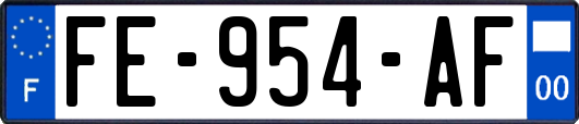 FE-954-AF