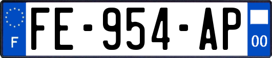 FE-954-AP